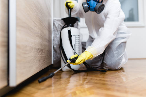 Trusted Beardstown, IL Pest Control Experts