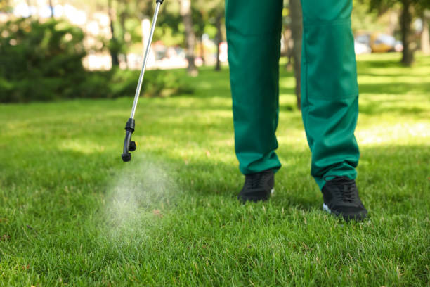 Best Wildlife Control Services  in Beardstown, IL