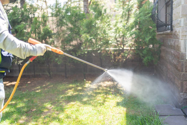 Best Pest Prevention Services  in Beardstown, IL