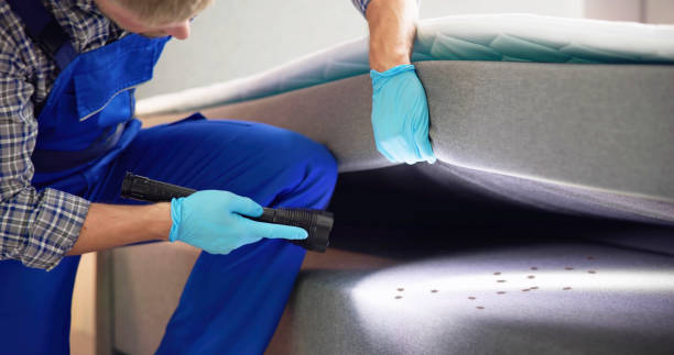 Best Pest Control Near Me in Beardstown, IL